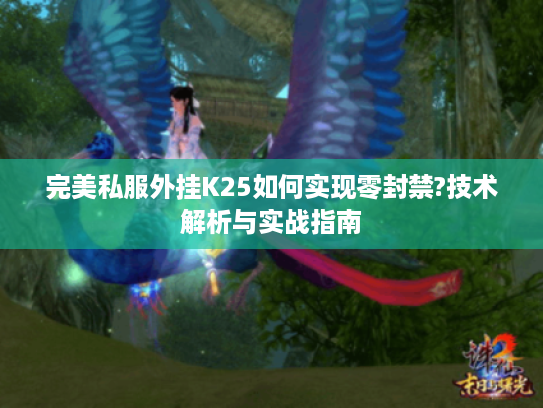 完美私服外挂K25如何实现零封禁?技术解析与实战指南