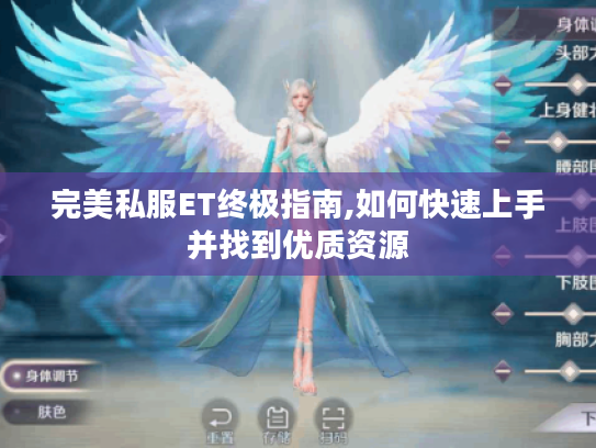 完美私服ET终极指南,如何快速上手并找到优质资源
