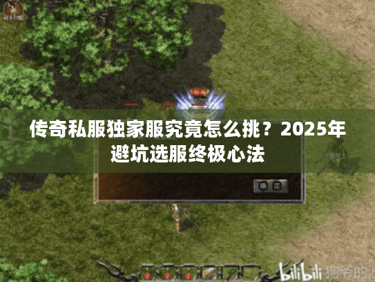 传奇私服独家服究竟怎么挑？2025年避坑选服终极心法