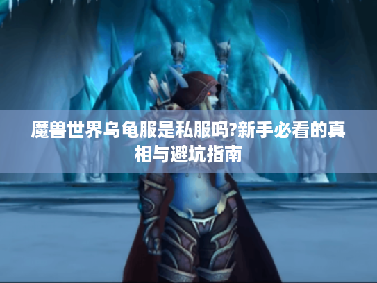 魔兽世界乌龟服是私服吗?新手必看的真相与避坑指南