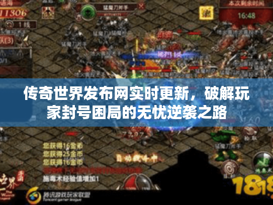 传奇世界发布网实时更新，破解玩家封号困局的无忧逆袭之路