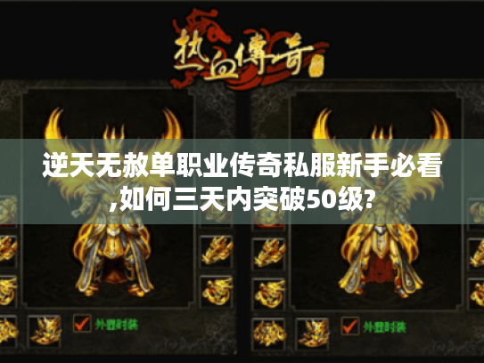 逆天无赦单职业传奇私服新手必看,如何三天内突破50级?
