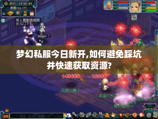 梦幻私服今日新开,如何避免踩坑并快速获取资源?