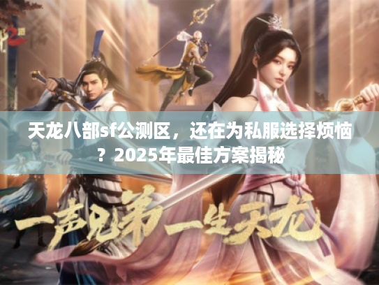天龙八部sf公测区，还在为私服选择烦恼？2025年最佳方案揭秘