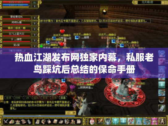 热血江湖发布网独家内幕，私服老鸟踩坑后总结的保命手册