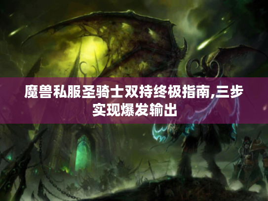 魔兽私服圣骑士双持终极指南,三步实现爆发输出