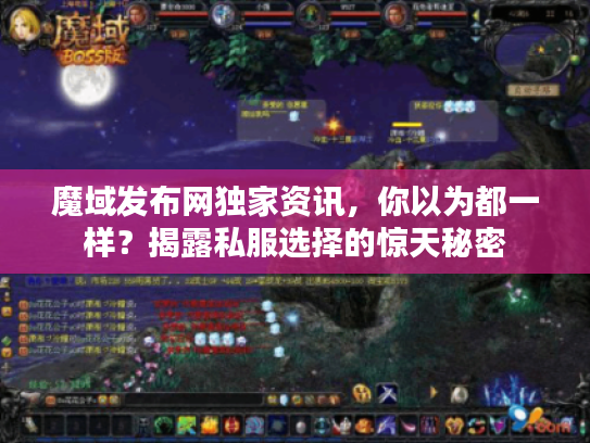 魔域发布网独家资讯，你以为都一样？揭露私服选择的惊天秘密