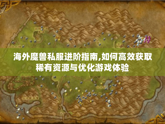 海外魔兽私服进阶指南,如何高效获取稀有资源与优化游戏体验