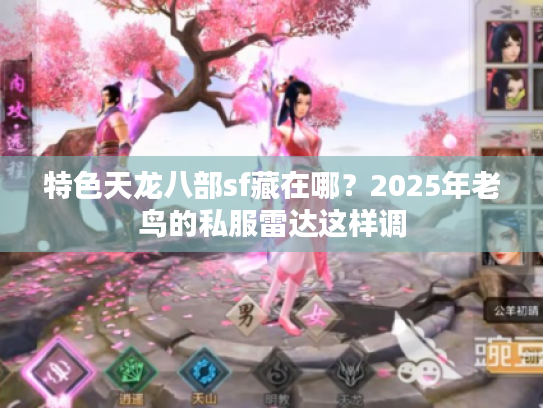 特色天龙八部sf藏在哪？2025年老鸟的私服雷达这样调