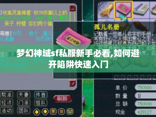 梦幻神域sf私服新手必看,如何避开陷阱快速入门