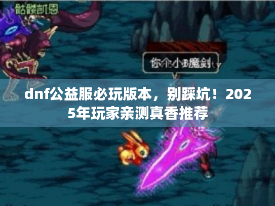 dnf公益服必玩版本，别踩坑！2025年玩家亲测真香推荐