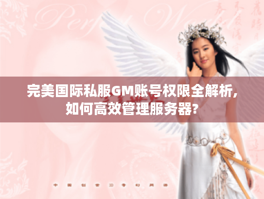 完美国际私服GM账号权限全解析,如何高效管理服务器?