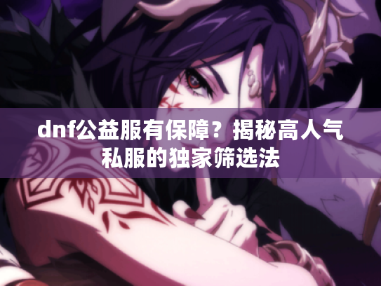dnf公益服有保障？揭秘高人气私服的独家筛选法