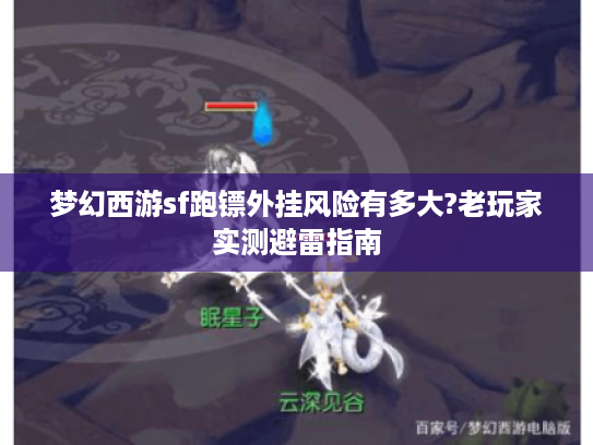 梦幻西游sf跑镖外挂风险有多大?老玩家实测避雷指南