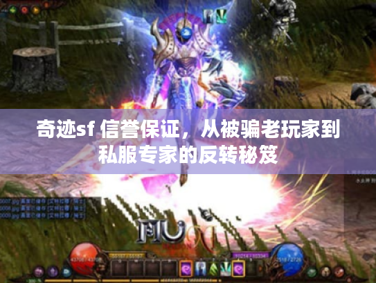 奇迹sf 信誉保证，从被骗老玩家到私服专家的反转秘笈