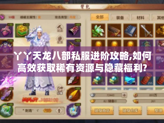 丫丫天龙八部私服进阶攻略,如何高效获取稀有资源与隐藏福利?