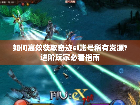 如何高效获取奇迹sf账号稀有资源?进阶玩家必看指南