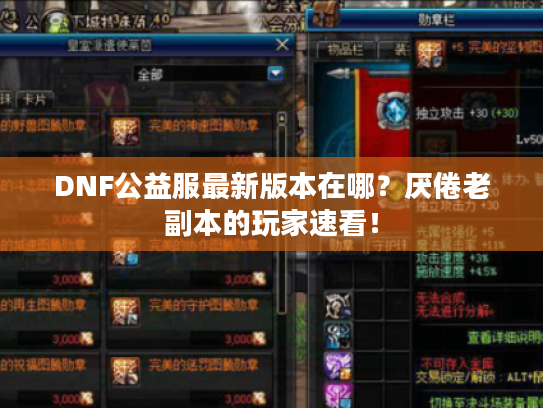 DNF公益服最新版本在哪？厌倦老副本的玩家速看！