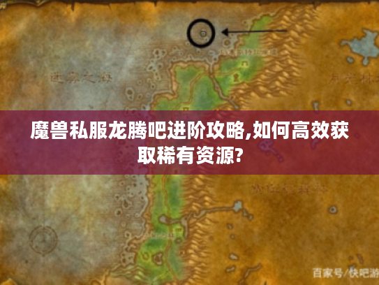 魔兽私服龙腾吧进阶攻略,如何高效获取稀有资源?