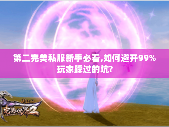 第二完美私服新手必看,如何避开99%玩家踩过的坑? 第二完美私服新手必看,如何避开99%玩家踩过的坑?