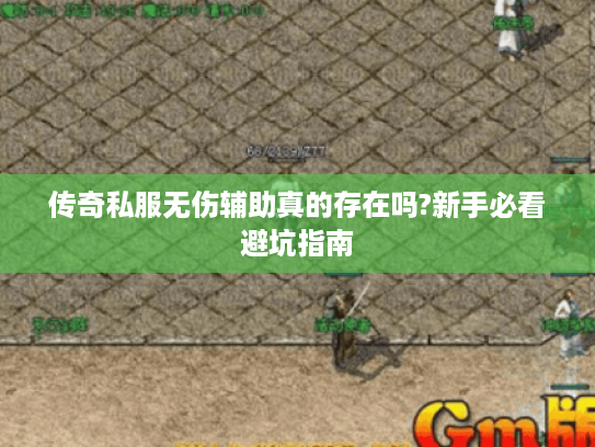 传奇私服无伤辅助真的存在吗?新手必看避坑指南