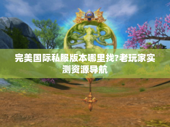 完美国际私服版本哪里找?老玩家实测资源导航