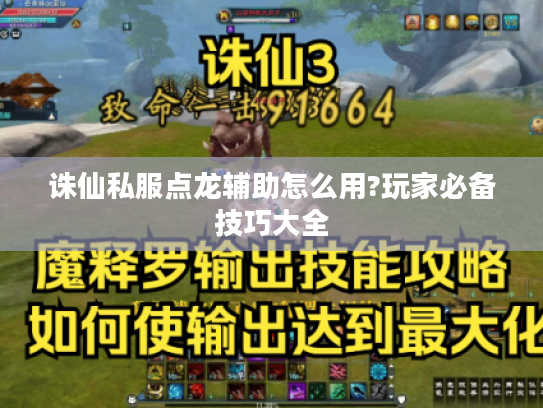 诛仙私服点龙辅助怎么用?玩家必备技巧大全