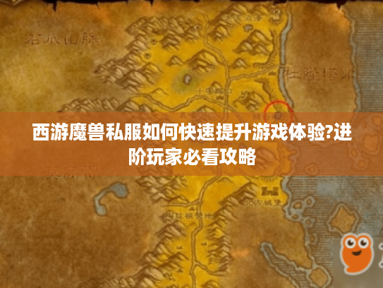 西游魔兽私服如何快速提升游戏体验?进阶玩家必看攻略