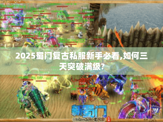 2025蜀门复古私服新手必看,如何三天突破满级?