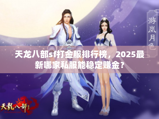 天龙八部sf打金服排行榜，2025最新哪家私服能稳定赚金？