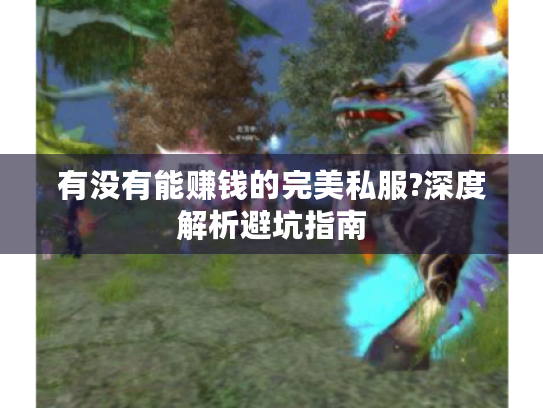 有没有能赚钱的完美私服?深度解析避坑指南