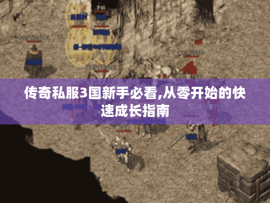传奇私服3国新手必看,从零开始的快速成长指南 传奇私服3国新手必看,从零开始的快速成长指南
