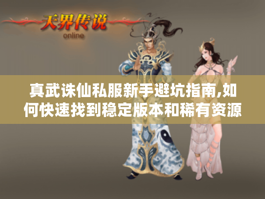 真武诛仙私服新手避坑指南,如何快速找到稳定版本和稀有资源