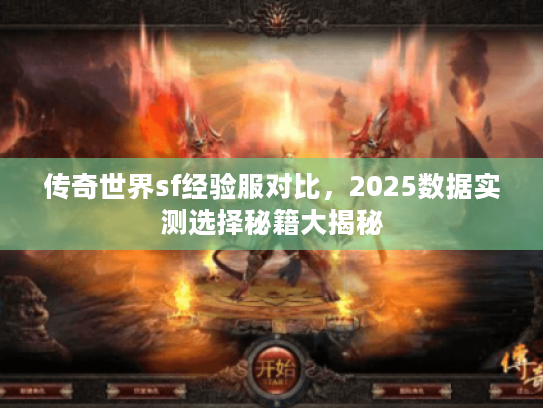 传奇世界sf经验服对比，2025数据实测选择秘籍大揭秘