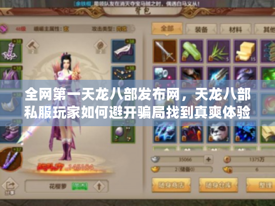 全网第一天龙八部发布网，天龙八部私服玩家如何避开骗局找到真爽体验？