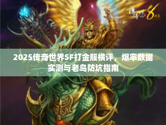 2025传奇世界SF打金服横评，爆率数据实测与老鸟防坑指南