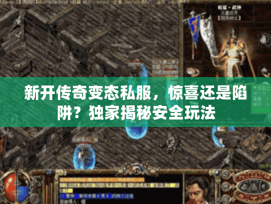 新开传奇变态私服，惊喜还是陷阱？独家揭秘安全玩法
