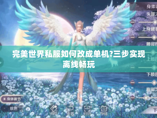 完美世界私服如何改成单机?三步实现离线畅玩