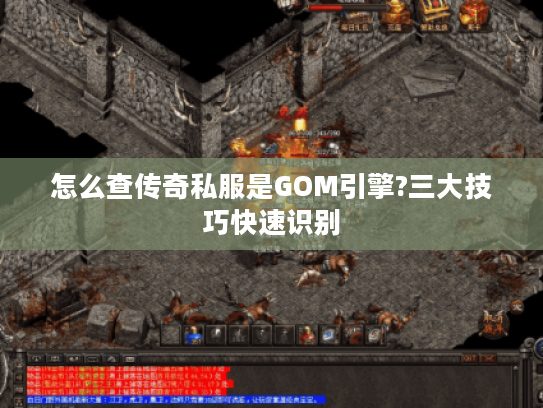 怎么查传奇私服是GOM引擎?三大技巧快速识别