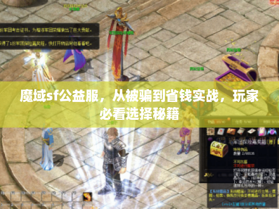 魔域sf公益服，从被骗到省钱实战，玩家必看选择秘籍