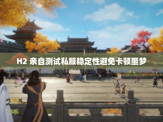 H2 亲自测试私服稳定性避免卡顿噩梦