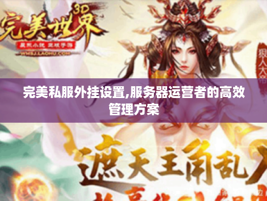 完美私服外挂设置,服务器运营者的高效管理方案