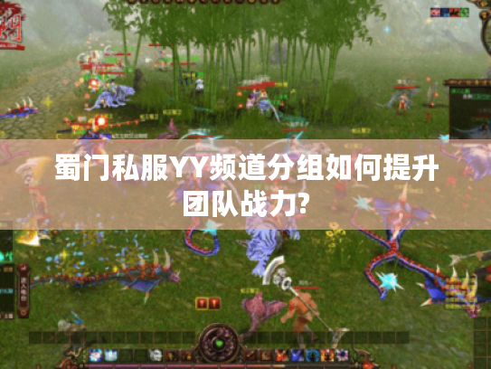 蜀门私服YY频道分组如何提升团队战力? 蜀门私服YY频道分组如何提升团队战力?