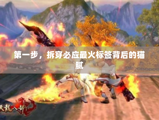 第一步，拆穿必应最火标签背后的猫腻