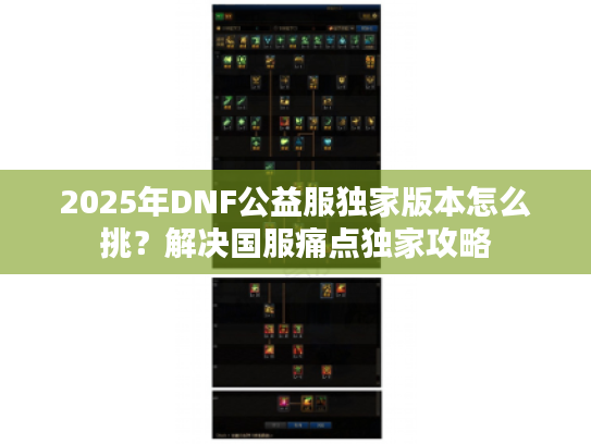 2025年DNF公益服独家版本怎么挑？解决国服痛点独家攻略
