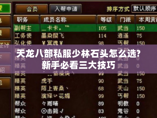 天龙八部私服少林石头怎么选?新手必看三大技巧