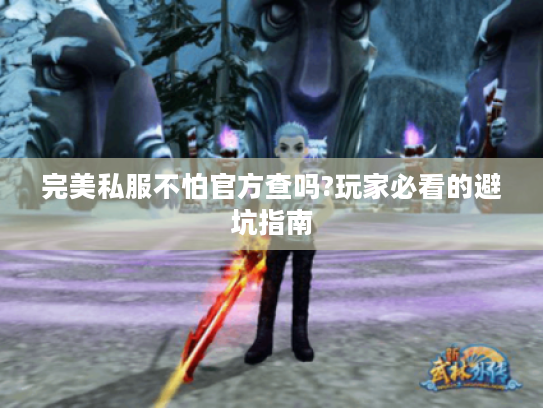 完美私服不怕官方查吗?玩家必看的避坑指南