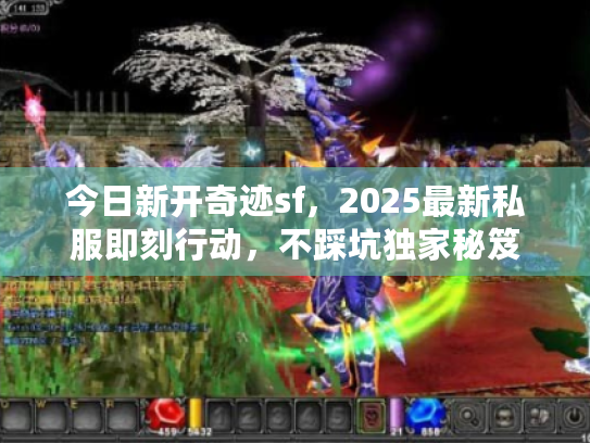 今日新开奇迹sf，2025最新私服即刻行动，不踩坑独家秘笈