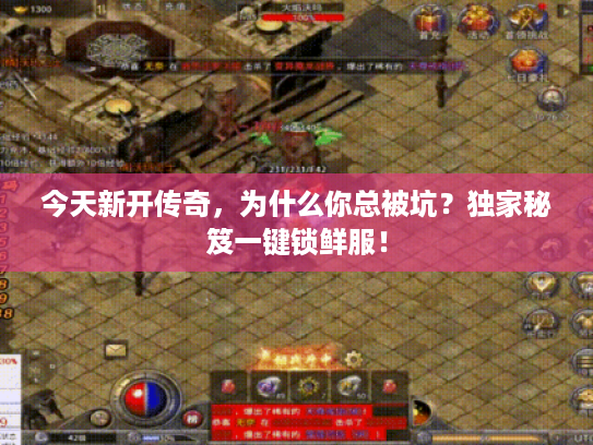 今天新开传奇,为什么你总被坑?独家秘笈一键锁鲜服! 今天新开传奇,为什么你总被坑?独家秘笈一键锁鲜服!