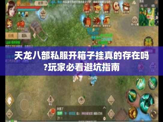 天龙八部私服开箱子挂真的存在吗?玩家必看避坑指南